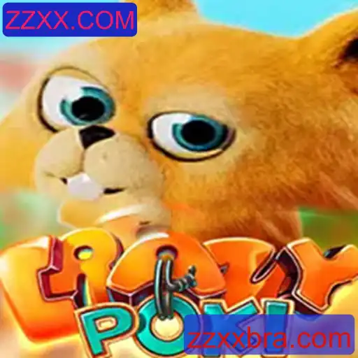 CrazyPoki: O Jogo Inovador que Conecta Ação e Estratégia